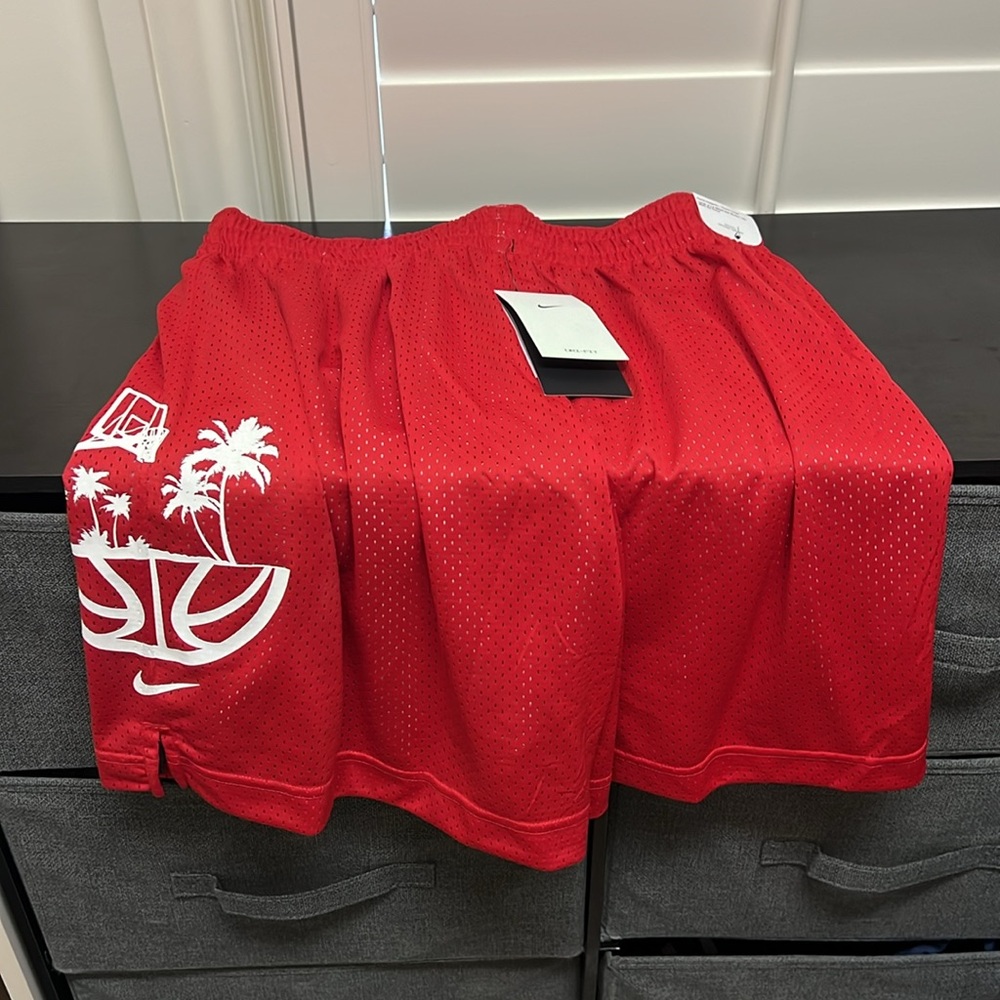 COPY - Nike shorts size L Reversible